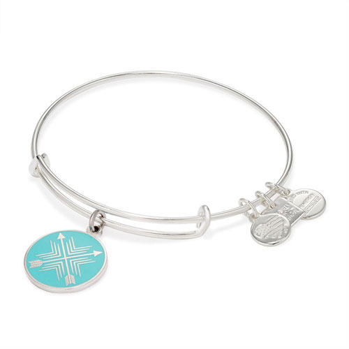 Alex and Ani Charitable Bangle Bracelet