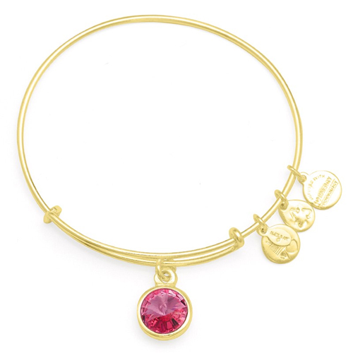 Alex and Ani Charm of the Month October