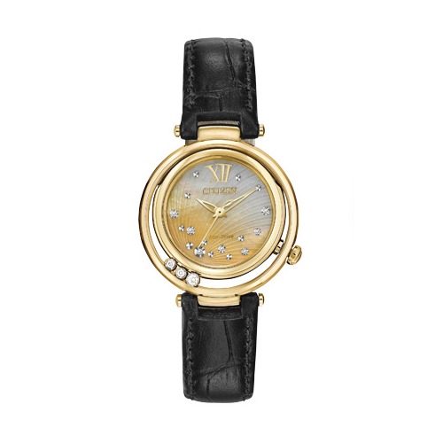 Citizen watch for a lady's Christmas gift