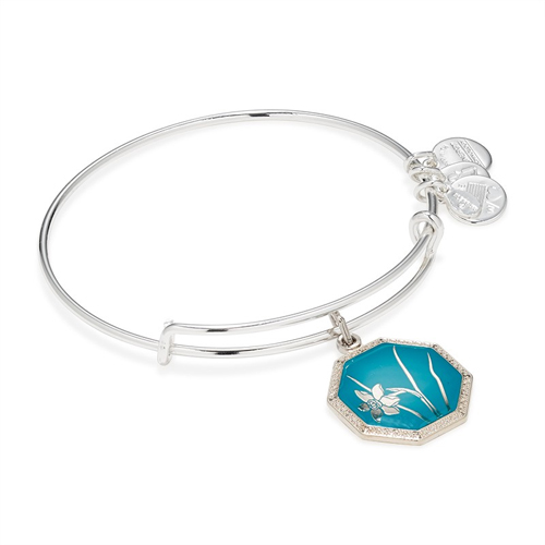 Sterling bracelet by Alex and Ani