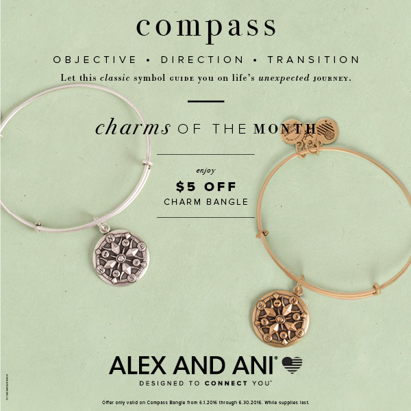 Alex and Ani Charm of the Month is the compass bangle.