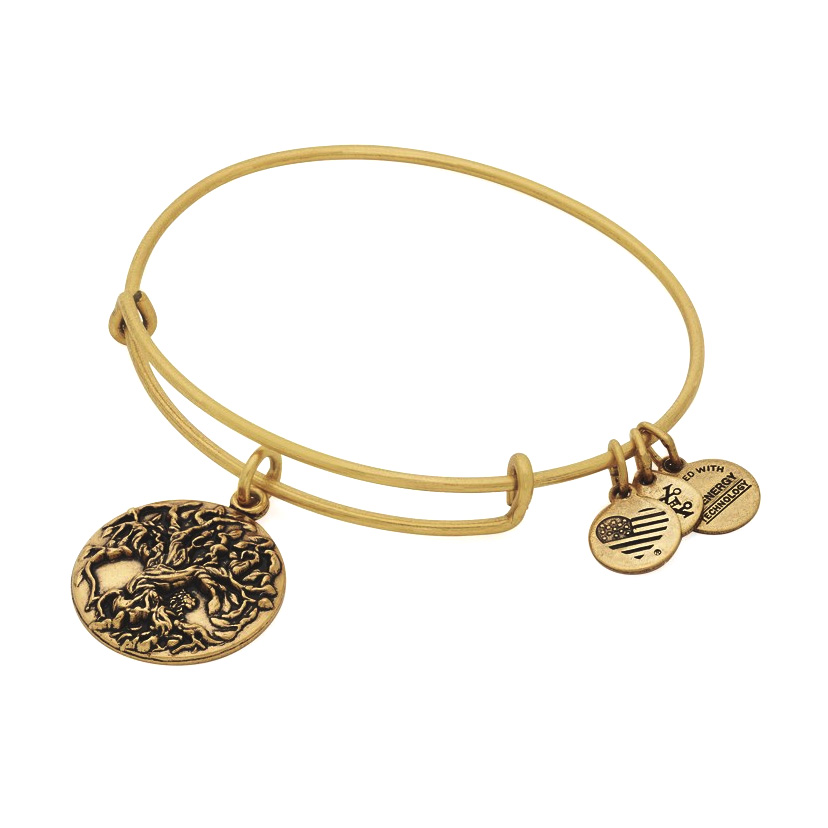 This bangle is $5 off for the month of September, 2016.