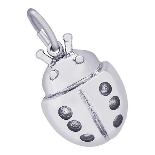 Celebrate spring with this lady bug charm.