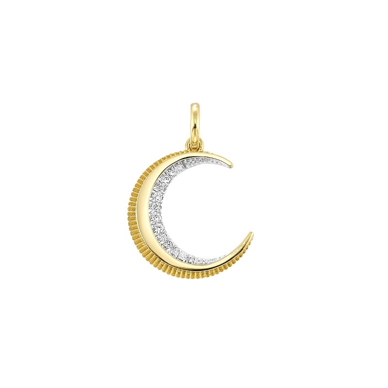 PD11362-4YC_Charm