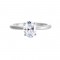Oval Solitaire Sleek Band