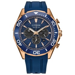 Citizen Endeavor Men's Watch